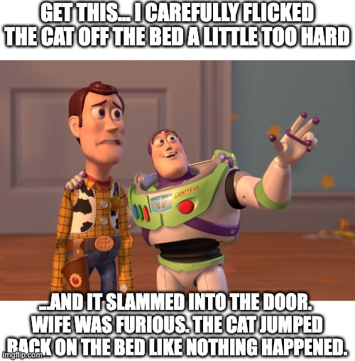 cats, surprisingly light and aerodynamic | GET THIS... I CAREFULLY FLICKED THE CAT OFF THE BED A LITTLE TOO HARD; ...AND IT SLAMMED INTO THE DOOR. 
WIFE WAS FURIOUS. THE CAT JUMPED BACK ON THE BED LIKE NOTHING HAPPENED. | image tagged in memes,x x everywhere,cats,door,accident,bed | made w/ Imgflip meme maker