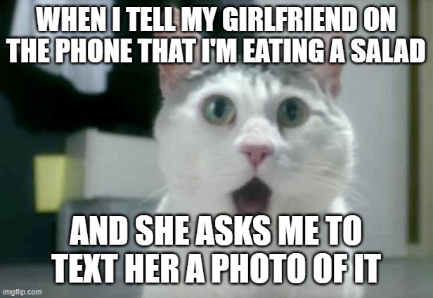 Well, a Big Mac and large fry technically counts as a salad, right? :/ | WHEN I TELL MY GIRLFRIEND ON THE PHONE THAT I'M EATING A SALAD; AND SHE ASKS ME TO TEXT HER A PHOTO OF IT | image tagged in memes,omg cat,salad,girlfriend,lying,not a true story | made w/ Imgflip meme maker