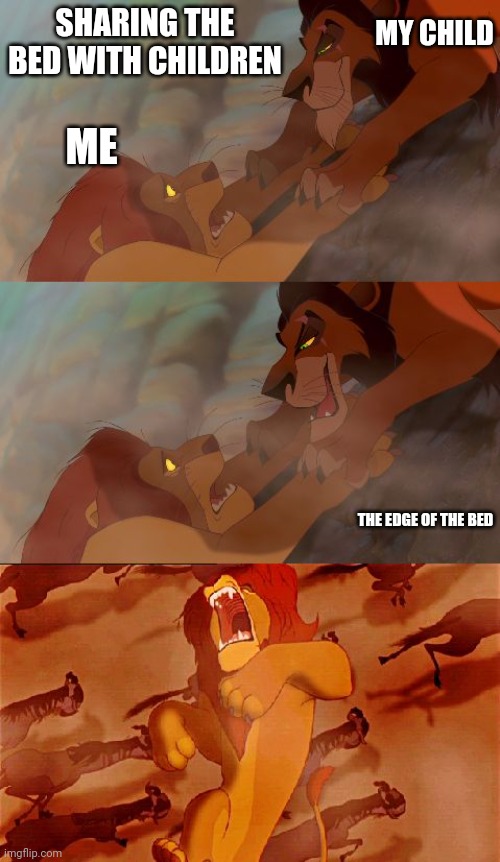 Sleeping next to kids | MY CHILD; SHARING THE BED WITH CHILDREN; ME; THE EDGE OF THE BED | image tagged in mufasa death | made w/ Imgflip meme maker