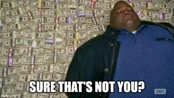 huell money | SURE THAT'S NOT YOU? | image tagged in huell money | made w/ Imgflip meme maker