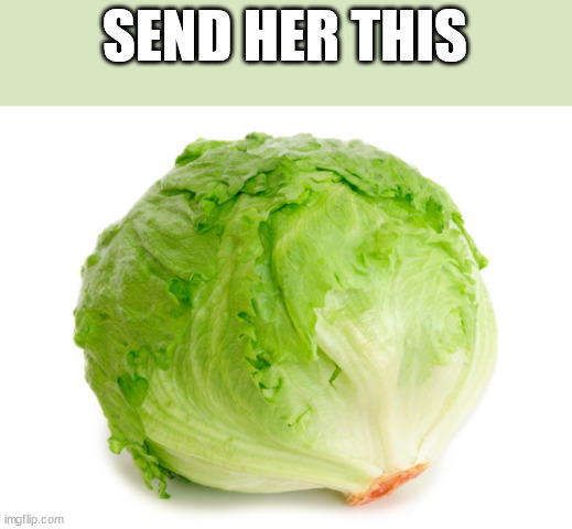 Lettuce  | SEND HER THIS | image tagged in lettuce | made w/ Imgflip meme maker