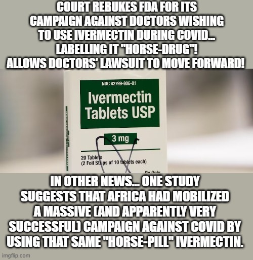 politics | IN OTHER NEWS... ONE STUDY SUGGESTS THAT AFRICA HAD MOBILIZED A MASSIVE (AND APPARENTLY VERY SUCCESSFUL) CAMPAIGN AGAINST COVID BY USING THAT SAME "HORSE-PILL" IVERMECTIN. | image tagged in politics | made w/ Imgflip meme maker