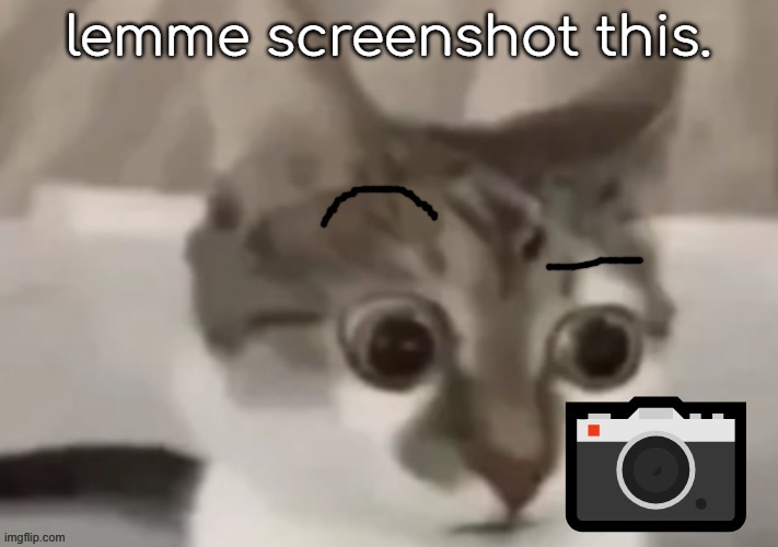 bombastic side eye cat | lemme screenshot this. 📷 | image tagged in bombastic side eye cat | made w/ Imgflip meme maker