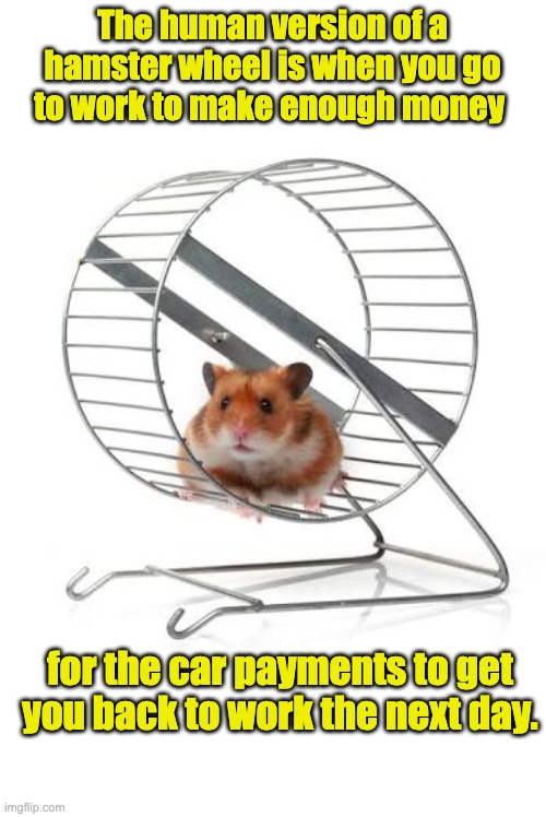 Hamster Wheel | The human version of a hamster wheel is when you go to work to make enough money; for the car payments to get you back to work the next day. | image tagged in hamster wheel | made w/ Imgflip meme maker