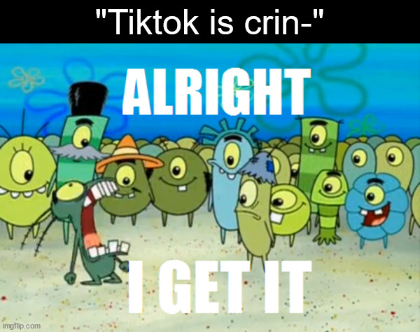 Insert bad title here | "Tiktok is crin-" | image tagged in alright i get it,tiktok,tiktok sucks | made w/ Imgflip meme maker