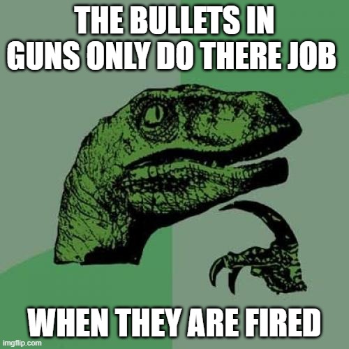 job after fired | THE BULLETS IN GUNS ONLY DO THERE JOB; WHEN THEY ARE FIRED | image tagged in memes,philosoraptor | made w/ Imgflip meme maker