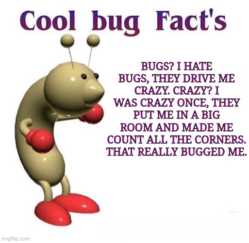Cool Bug Facts | BUGS? I HATE BUGS, THEY DRIVE ME CRAZY. CRAZY? I WAS CRAZY ONCE, THEY PUT ME IN A BIG ROOM AND MADE ME COUNT ALL THE CORNERS. THAT REALLY BUGGED ME. | image tagged in cool bug facts | made w/ Imgflip meme maker