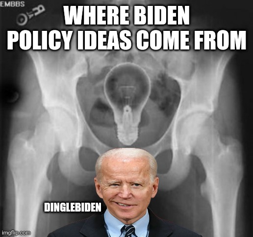 lightbulb in bum | WHERE BIDEN POLICY IDEAS COME FROM; DINGLEBIDEN | image tagged in lightbulb in bum | made w/ Imgflip meme maker