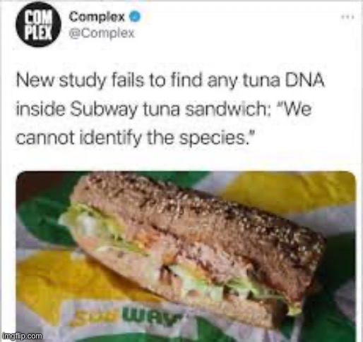 Oh no | image tagged in subway,eef freef | made w/ Imgflip meme maker