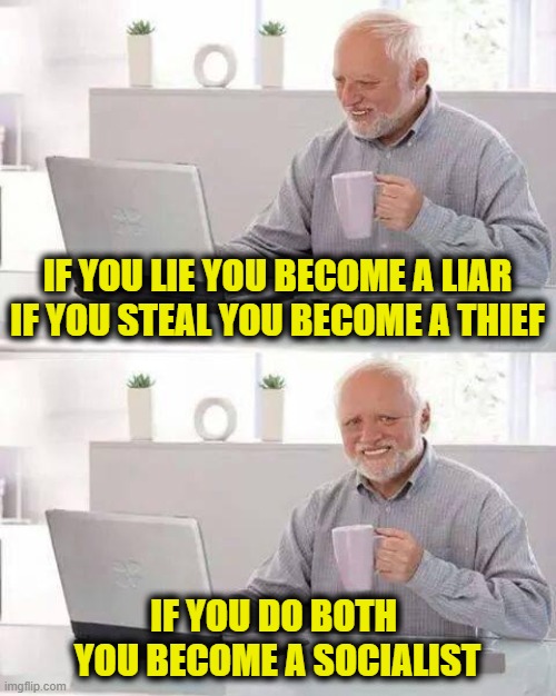 Redistribution of your wealth to me | IF YOU LIE YOU BECOME A LIAR
IF YOU STEAL YOU BECOME A THIEF; IF YOU DO BOTH 
YOU BECOME A SOCIALIST | image tagged in memes,hide the pain harold | made w/ Imgflip meme maker