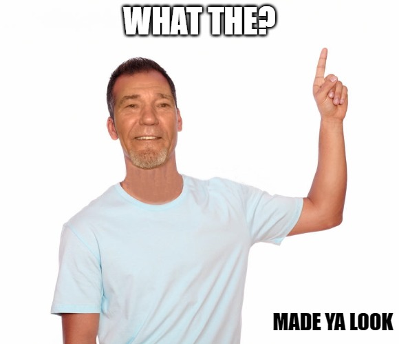 point up | WHAT THE? MADE YA LOOK | image tagged in point up | made w/ Imgflip meme maker