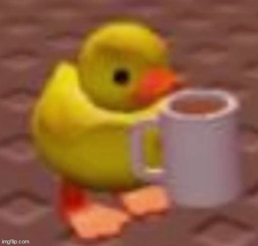 duck with coffee ug | image tagged in duck with coffee ug | made w/ Imgflip meme maker