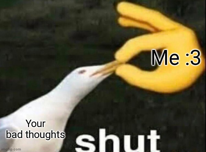 Shut them bad thoughts | Me :3; Your bad thoughts | image tagged in shut | made w/ Imgflip meme maker
