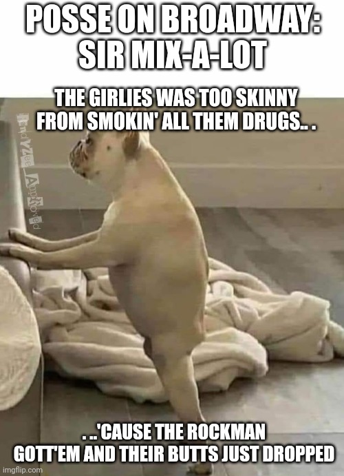 Flat Bottomed Girls | POSSE ON BROADWAY:
SIR MIX-A-LOT; THE GIRLIES WAS TOO SKINNY FROM SMOKIN' ALL THEM DRUGS.. . . ..'CAUSE THE ROCKMAN GOTT'EM AND THEIR BUTTS JUST DROPPED | image tagged in meth | made w/ Imgflip meme maker