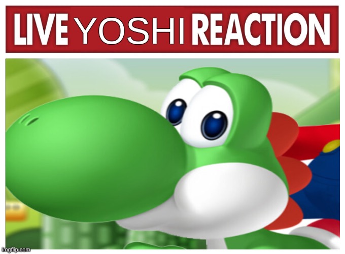 Live Yoshi Reaction | image tagged in live yoshi reaction | made w/ Imgflip meme maker