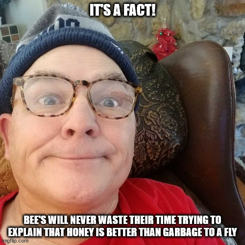 Durl Earl | IT'S A FACT! BEE'S WILL NEVER WASTE THEIR TIME TRYING TO EXPLAIN THAT HONEY IS BETTER THAN GARBAGE TO A FLY | image tagged in durl earl | made w/ Imgflip meme maker