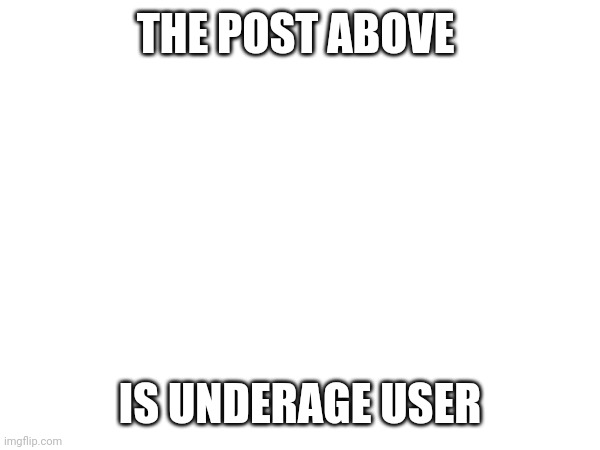 THE POST ABOVE; IS UNDERAGE USER | made w/ Imgflip meme maker