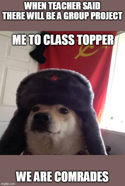 group project | WHEN TEACHER SAID THERE WILL BE A GROUP PROJECT; ME TO CLASS TOPPER; WE ARE COMRADES | image tagged in russian doge | made w/ Imgflip meme maker