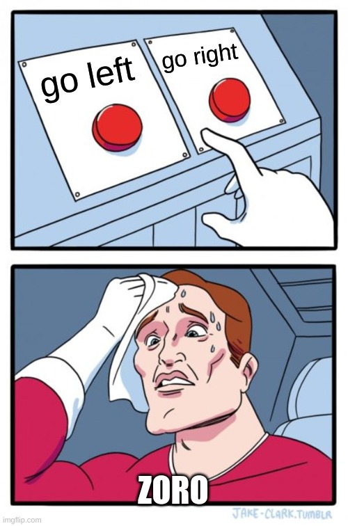 Two Buttons | go right; go left; ZORO | image tagged in memes,two buttons | made w/ Imgflip meme maker