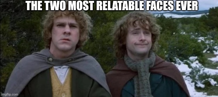 Fr tho. Merry and pippin are a relatable vibe. | THE TWO MOST RELATABLE FACES EVER | image tagged in pippin and merry | made w/ Imgflip meme maker