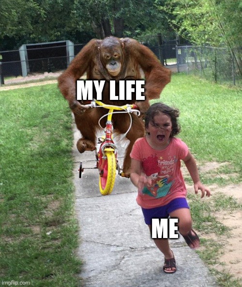 Frfr | MY LIFE; ME | image tagged in orangutan chasing girl on a tricycle | made w/ Imgflip meme maker