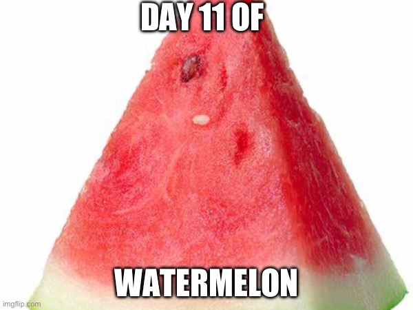 >:) | DAY 11 OF; WATERMELON | image tagged in watermelon | made w/ Imgflip meme maker