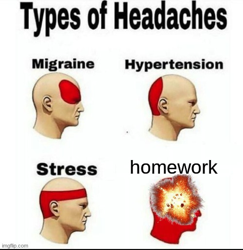 fr | homework | image tagged in types of headaches meme | made w/ Imgflip meme maker