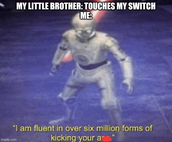 I am fluent in over six million forms of kicking your ass | MY LITTLE BROTHER: TOUCHES MY SWITCH
ME: | image tagged in i am fluent in over six million forms of kicking your ass | made w/ Imgflip meme maker