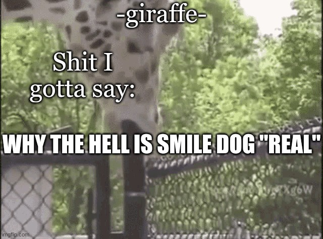 -giraffe- | WHY THE HELL IS SMILE DOG "REAL" | image tagged in -giraffe- | made w/ Imgflip meme maker