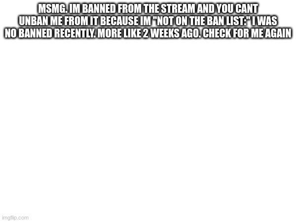 pls bro | MSMG. IM BANNED FROM THE STREAM AND YOU CANT UNBAN ME FROM IT BECAUSE IM "NOT ON THE BAN LIST:" I WAS NO BANNED RECENTLY. MORE LIKE 2 WEEKS AGO. CHECK FOR ME AGAIN | image tagged in oh wow are you actually reading these tags | made w/ Imgflip meme maker