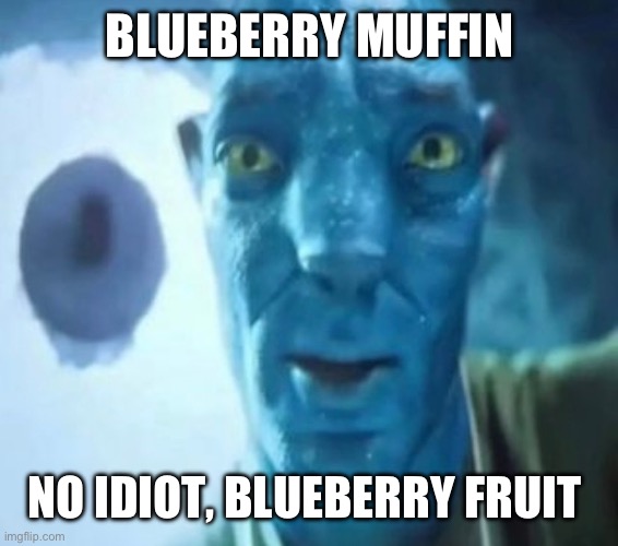 Wise Words | BLUEBERRY MUFFIN; NO IDIOT, BLUEBERRY FRUIT | image tagged in avatar guy | made w/ Imgflip meme maker