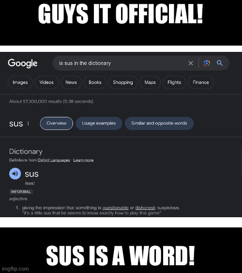 I’ve waited for this for a long time | GUYS IT OFFICIAL! SUS IS A WORD! | image tagged in among us,dictionary,sus | made w/ Imgflip meme maker