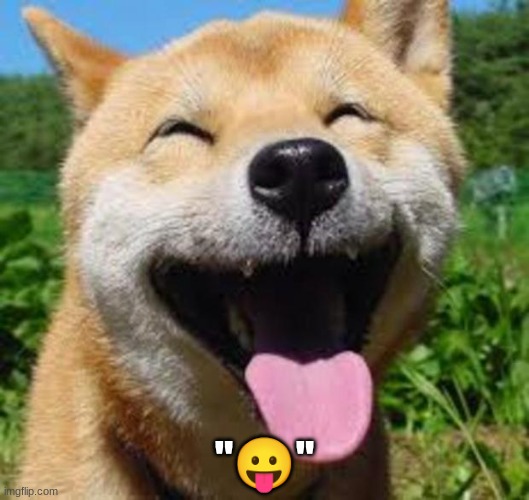 Happy Doge | "😛" | image tagged in happy doge | made w/ Imgflip meme maker