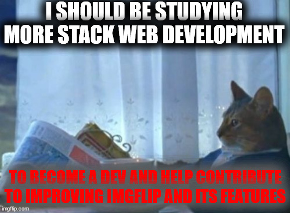 holy shit, an unfunny meme with colored impact font and a 25% shading | I SHOULD BE STUDYING MORE STACK WEB DEVELOPMENT; TO BECOME A DEV AND HELP CONTRIBUTE TO IMPROVING IMGFLIP AND ITS FEATURES | image tagged in memes,i should buy a boat cat | made w/ Imgflip meme maker