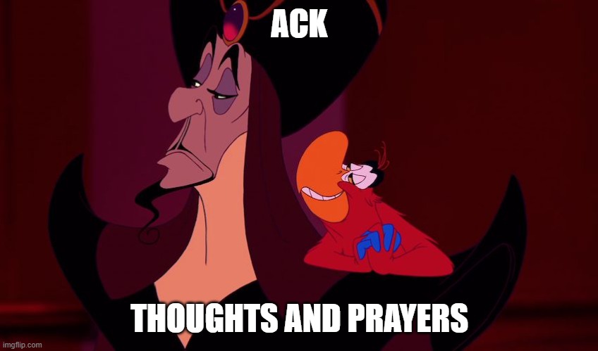 Iago Aladdin so how did it go | ACK; THOUGHTS AND PRAYERS | image tagged in iago aladdin so how did it go | made w/ Imgflip meme maker