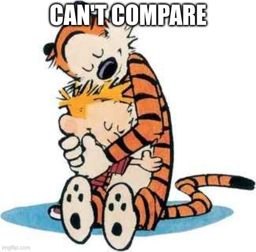 Calvin and Hobbes | CAN'T COMPARE | image tagged in calvin and hobbes | made w/ Imgflip meme maker