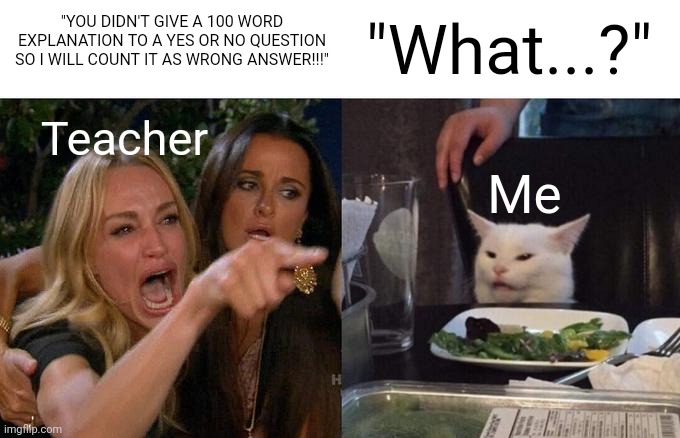 I remember seeing this meme before but with different images and slightly diff text so thought posting it here is better | "YOU DIDN'T GIVE A 100 WORD EXPLANATION TO A YES OR NO QUESTION SO I WILL COUNT IT AS WRONG ANSWER!!!"; "What...?"; Teacher; Me | image tagged in memes,woman yelling at cat,school,middle school,school sucks,schools | made w/ Imgflip meme maker
