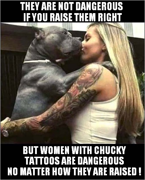 Be Afraid Of One Of These ! | THEY ARE NOT DANGEROUS
 IF YOU RAISE THEM RIGHT; BUT WOMEN WITH CHUCKY
TATTOOS ARE DANGEROUS
 NO MATTER HOW THEY ARE RAISED ! | image tagged in be afraid,dog,women,chucky,tattoos,dark humour | made w/ Imgflip meme maker