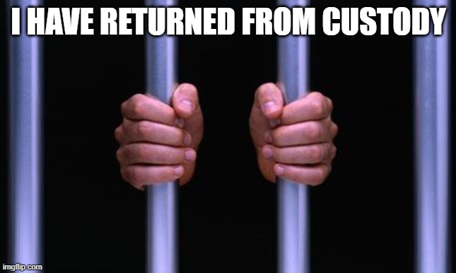 I AM THE GOD OF FESTIVALS WORSHIP ME AND REVEL IN MY BRILLIANCE | I HAVE RETURNED FROM CUSTODY | image tagged in prison bars | made w/ Imgflip meme maker