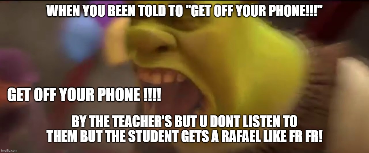 Shrek Screaming | WHEN YOU BEEN TOLD TO "GET OFF YOUR PHONE!!!"; GET OFF YOUR PHONE !!!! BY THE TEACHER'S BUT U DONT LISTEN TO THEM BUT THE STUDENT GETS A RAFAEL LIKE FR FR! | image tagged in shrek screaming | made w/ Imgflip meme maker