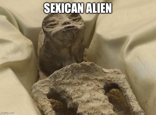 alien mexico | SEXICAN ALIEN | image tagged in alien mexico | made w/ Imgflip meme maker