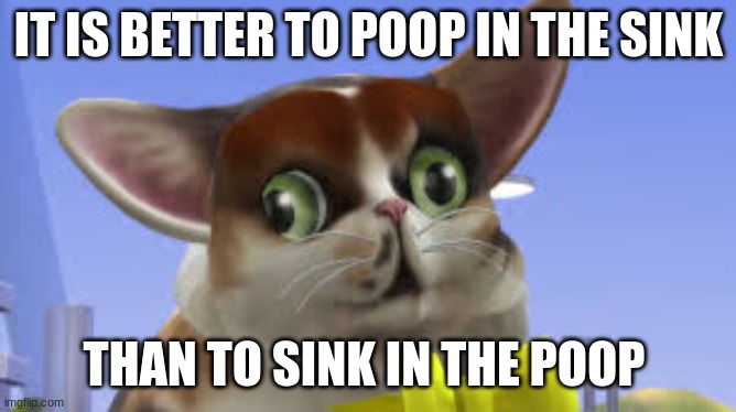 SpleensTheCat | IT IS BETTER TO POOP IN THE SINK; THAN TO SINK IN THE POOP | image tagged in spleensthecat | made w/ Imgflip meme maker