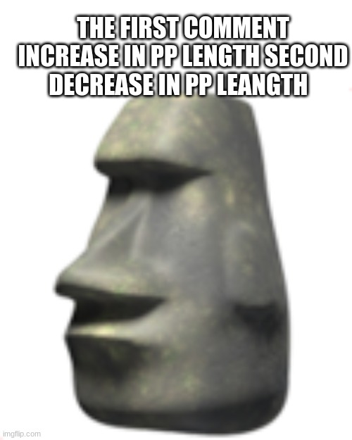 moai | THE FIRST COMMENT INCREASE IN PP LENGTH SECOND DECREASE IN PP LEANGTH | image tagged in moai,pp length | made w/ Imgflip meme maker