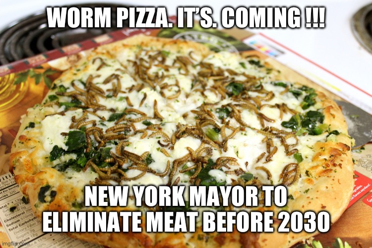 Worm pizza here it comes NYC !!! | WORM PIZZA. IT’S. COMING !!! NEW YORK MAYOR TO ELIMINATE MEAT BEFORE 2030 | image tagged in worm pizza,memes,funny,democrats | made w/ Imgflip meme maker