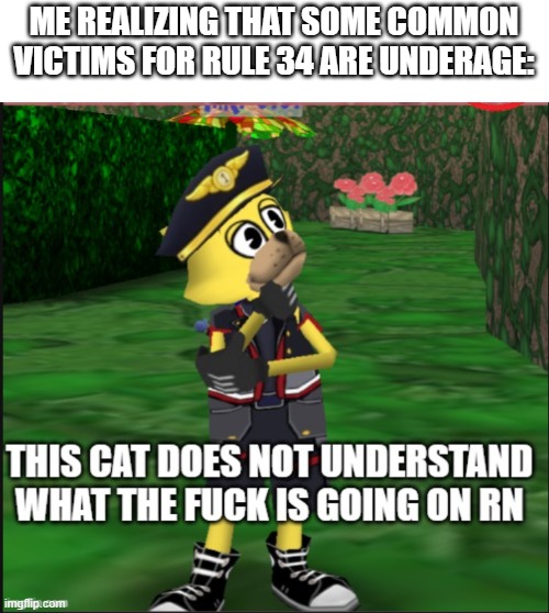 pwease dont do this to meeeeeee | ME REALIZING THAT SOME COMMON VICTIMS FOR RULE 34 ARE UNDERAGE: | image tagged in this cat does not know wtf is going on rn,rule 34 | made w/ Imgflip meme maker