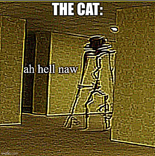 Backrooms Ah Hell Naw | THE CAT: | image tagged in backrooms ah hell naw | made w/ Imgflip meme maker