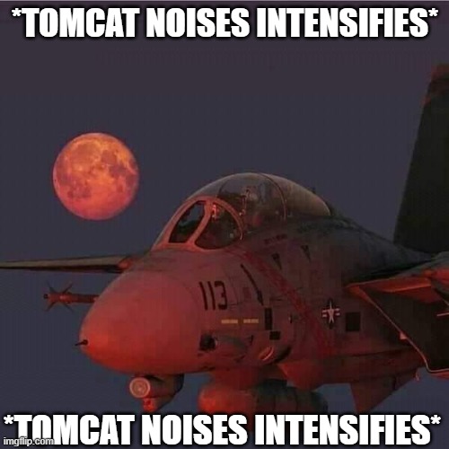 tomcat | *TOMCAT NOISES INTENSIFIES*; *TOMCAT NOISES INTENSIFIES* | image tagged in tomcat | made w/ Imgflip meme maker