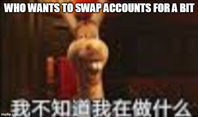 d o n k e y | WHO WANTS TO SWAP ACCOUNTS FOR A BIT | image tagged in d o n k e y | made w/ Imgflip meme maker