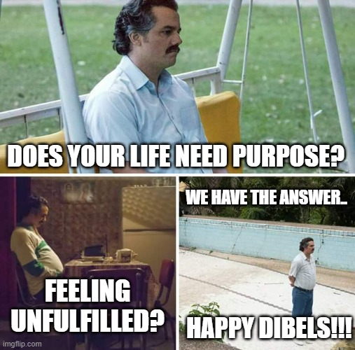 DIBELs Purpose | DOES YOUR LIFE NEED PURPOSE? WE HAVE THE ANSWER.. FEELING UNFULFILLED? HAPPY DIBELS!!! | image tagged in memes,sad pablo escobar | made w/ Imgflip meme maker