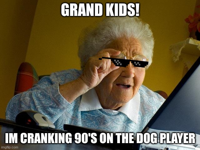 GRANDMA WHY ARE YOU ON MY PC | GRAND KIDS! IM CRANKING 90'S ON THE DOG PLAYER | image tagged in memes,grandma finds the internet | made w/ Imgflip meme maker